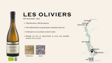 Saint-Joseph Les Oliviers Blanc 2021