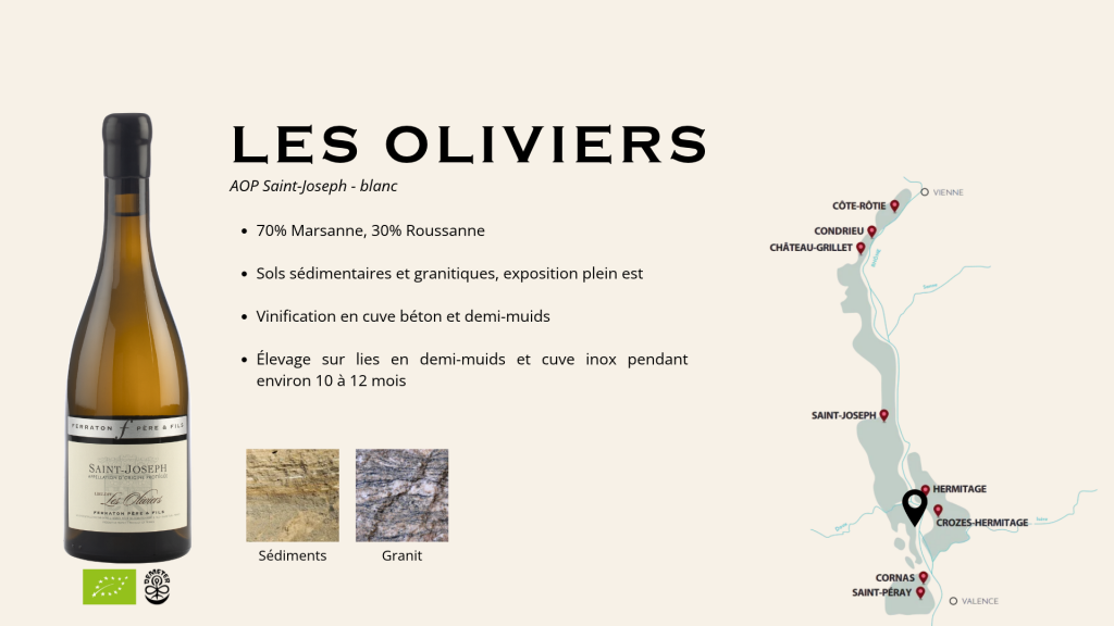 Saint-Joseph Les Oliviers, White, 2021 