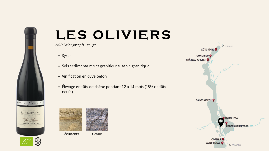 Saint-Joseph Les Oliviers Rouge 2023