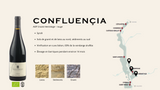 Crozes-Hermitage Confluençia Rouge 2024